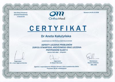 Certyfikat Aneta Kałużyńska