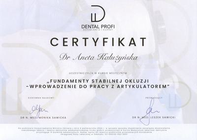 Certyfikat Aneta Kałużyńska