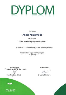 Certyfikat Aneta Kałużyńska
