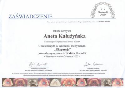 Certyfikat Aneta Kałużyńska