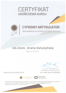 Certyfikat Aneta Kałużyńska