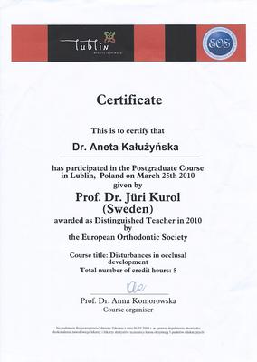 Certyfikat Aneta Kałużyńska