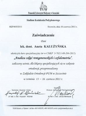 Certyfikat Aneta Kałużyńska