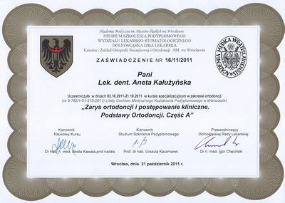 Certyfikat Aneta Kałużyńska