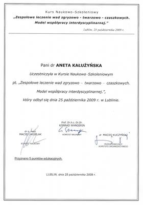 Certyfikat Aneta Kałużyńska
