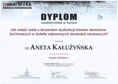 Certyfikat Aneta Kałużyńska