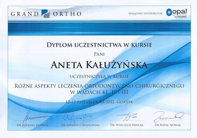 Certyfikat Aneta Kałużyńska