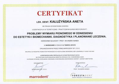 Certyfikat Aneta Kałużyńska
