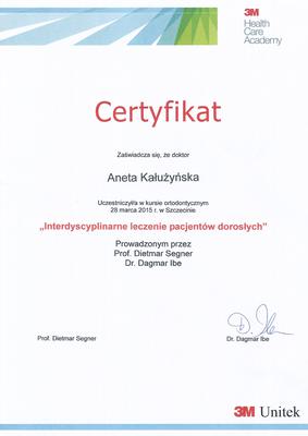 Certyfikat Aneta Kałużyńska
