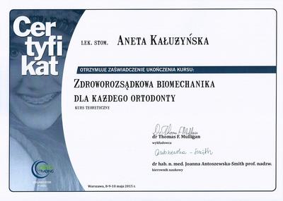Certyfikat Aneta Kałużyńska