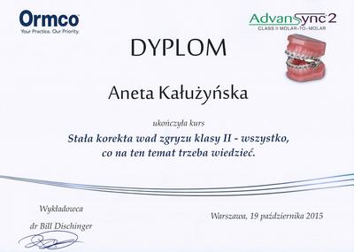 Certyfikat Aneta Kałużyńska