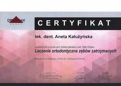 Certyfikat Aneta Kałużyńska