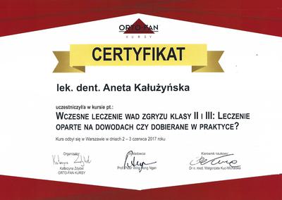 Certyfikat Aneta Kałużyńska