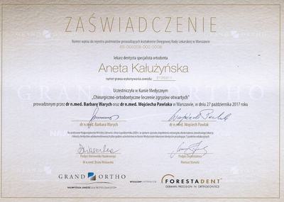 Certyfikat Aneta Kałużyńska