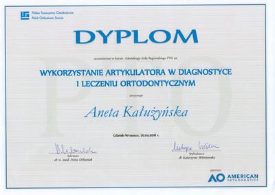 Certyfikat Aneta Kałużyńska