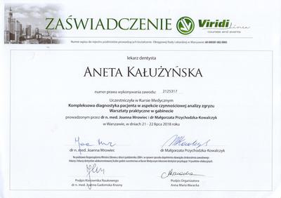 Certyfikat Aneta Kałużyńska