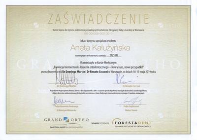 Certyfikat Aneta Kałużyńska