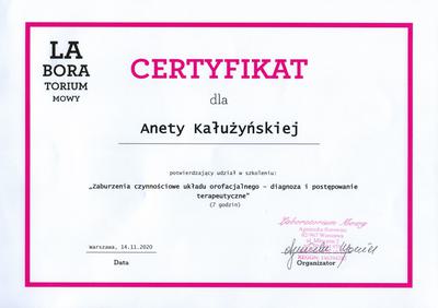 Certyfikat Aneta Kałużyńska