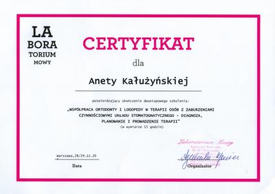 Certyfikat Aneta Kałużyńska