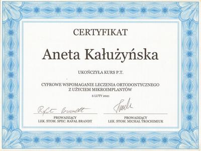 Certyfikat Aneta Kałużyńska