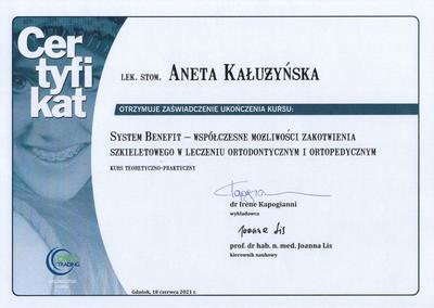 Certyfikat Aneta Kałużyńska