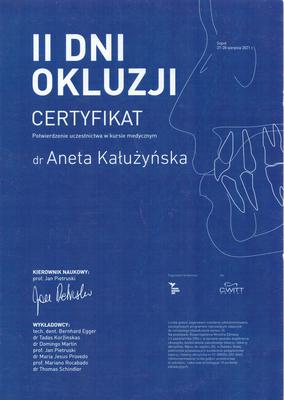 Certyfikat Aneta Kałużyńska