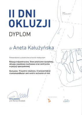 Certyfikat Aneta Kałużyńska